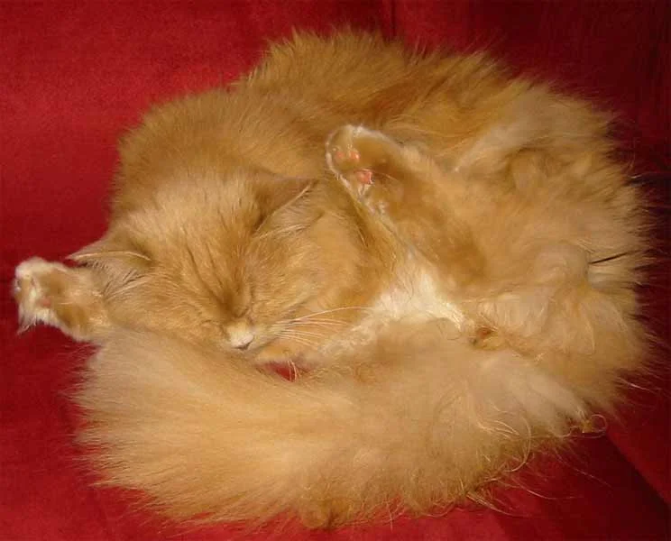 Wenn das Putzen doch nicht so anstrengend wäre!