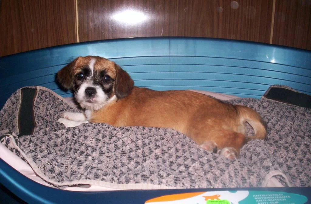 Wer fotografiert mich da ???