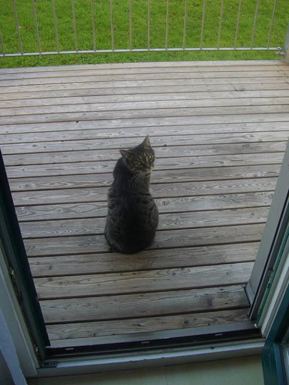 WER wagt es die Königin zu sprechen???