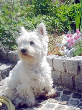 wie jetzt... der Sommer ist vorbei ???