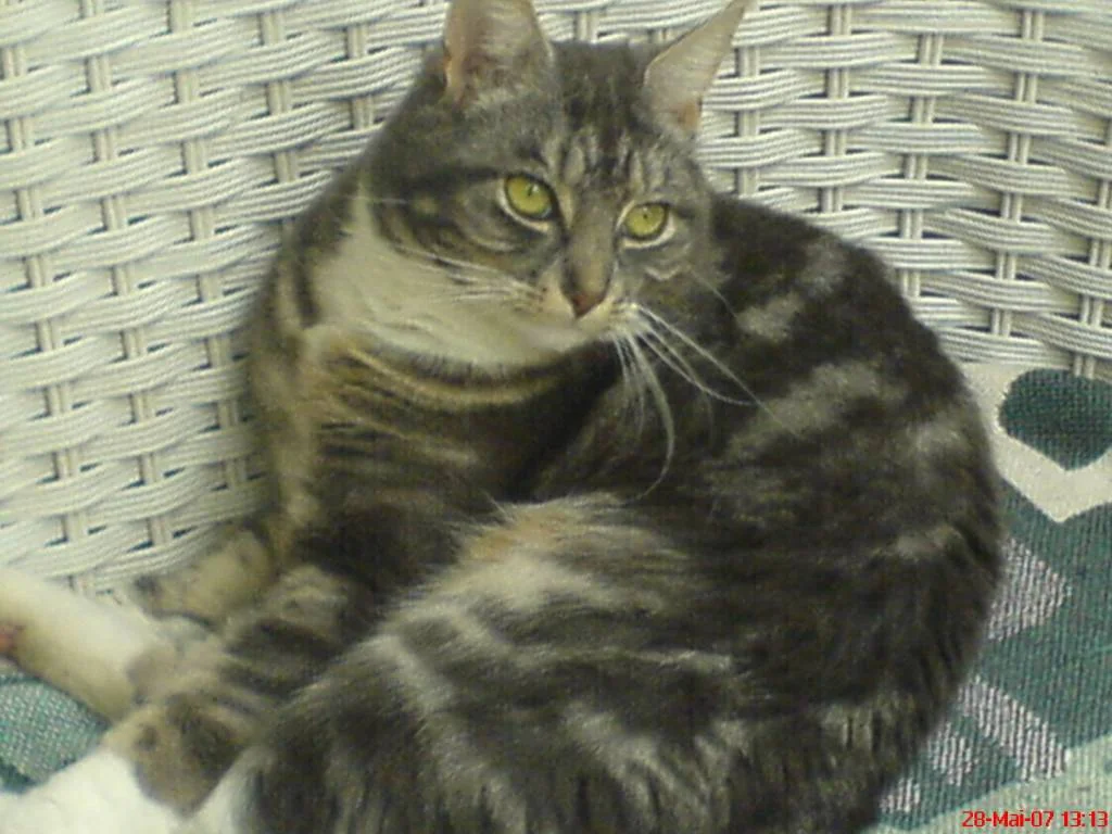 ....will meine Ruh haben....