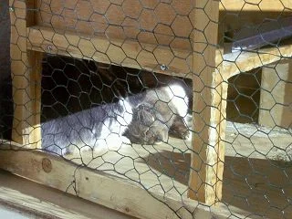 Wir genießen den Frühling "Die Erste"