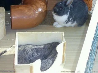 Wir genießen den Frühling "Die Zweite"