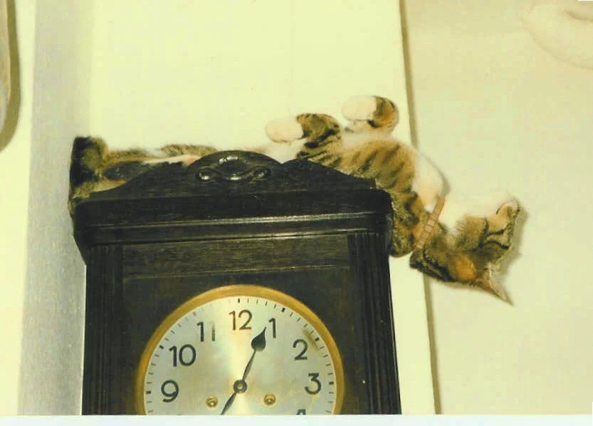 Wozu Uhren doch gut sind, vor allem solche