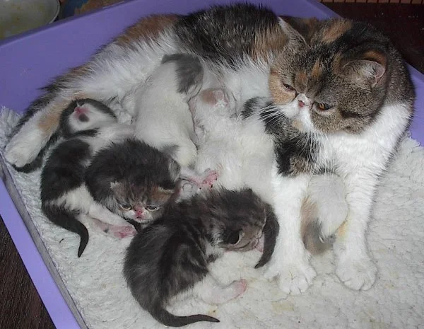 Wurf 02      29.3. 14