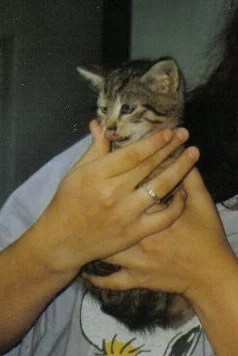 Wuschel ganz klein...grins