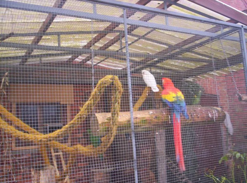 Zwei verlassene Seelen