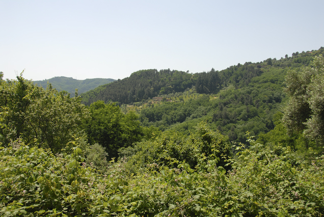 20080624_Toskana_137.JPG