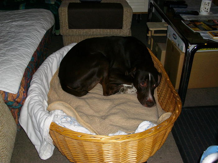 3200474.jpg