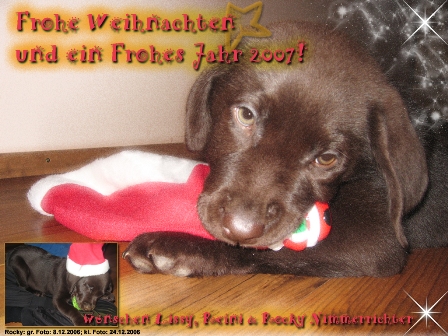 Weihnachtskarte_klein.jpg