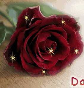 rose.gif